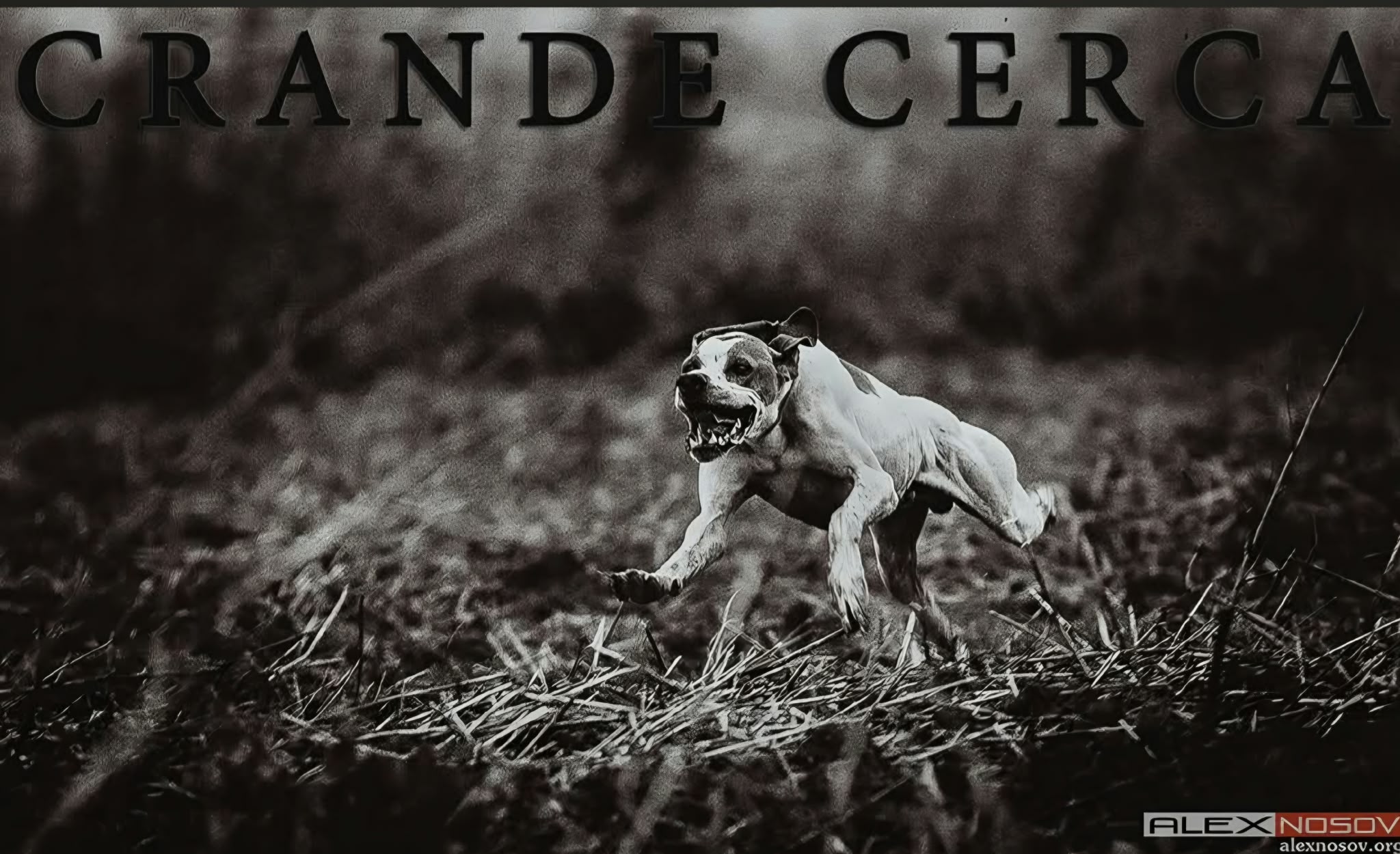 Cleo della Cervara · 2012